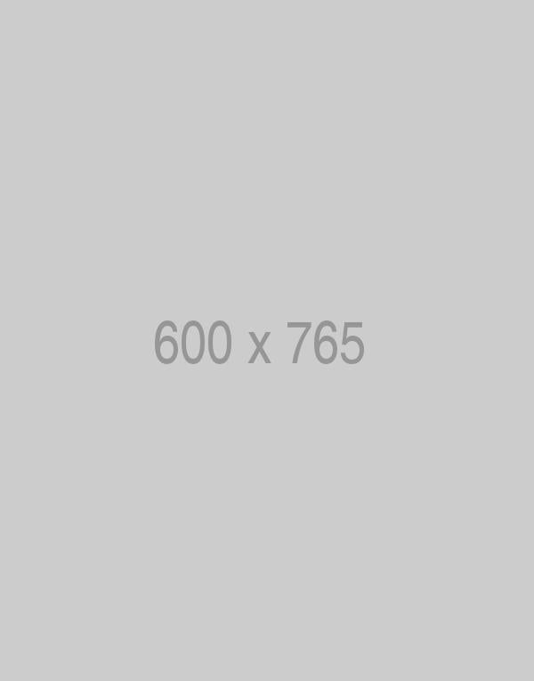 litho-600x765-ph.jpg
